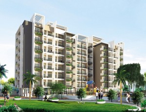 Building View